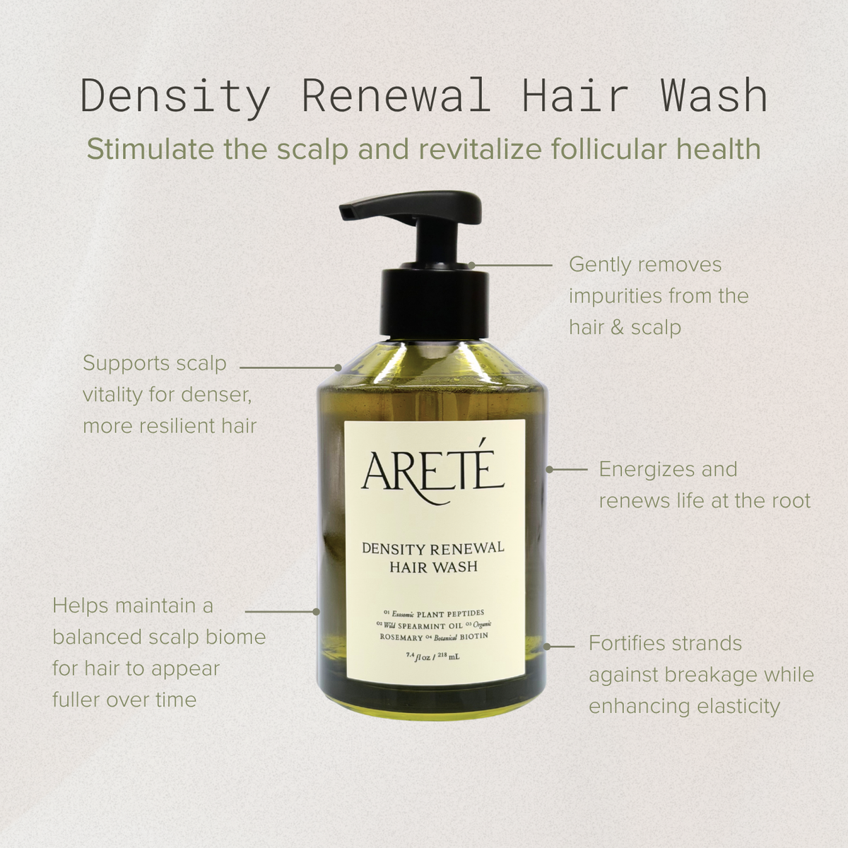 ARETÉ Density Renewal Hair Wash