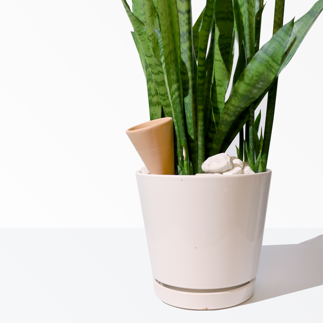 Cono Botanical Hydration System